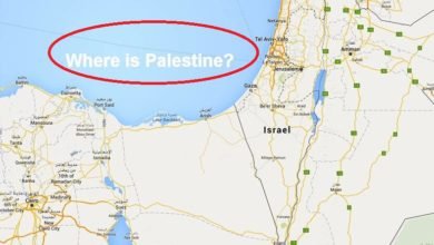 فلسطين