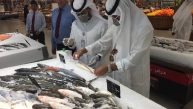 حماية المستهلك