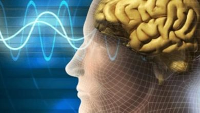 ضعف الذاكرة الأسباب والعلاج