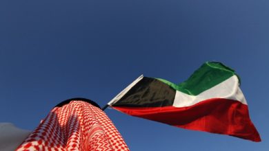 شملت الحلول تقليص أعداد العمالة غير المتعلمة أو المتدنية التعليم