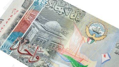 سيتم التحفظ على أموال 10 من مشاهير السوشيال ميديا