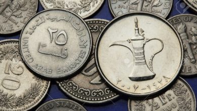 مصرف الإمارات المركزي يدعو لمواجهة غسيل الأموال في البلاد