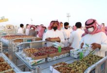 النمو الاقتصادي للمملكة غير واضح