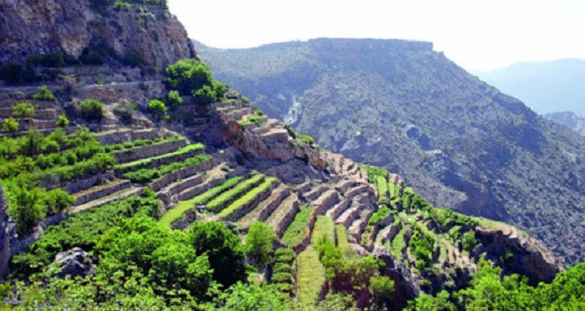 الجبل الأخضر من المناطق المحظور التملك فيها لغير العمانيين وفق المرسوم