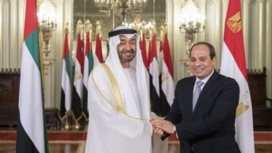مصدر لـ"الوطن": اتصال بن زايد بـ السيسي حمل دعمًا غير محدود لقمع تظاهرات مصر