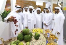 الإمارات تبحث تأسيس أكبر شركة عملاقة للصناعات الغذائية