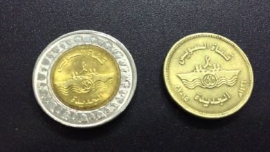 مصر : توقعات بانخفاض في الإيرادات