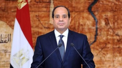السيسي: ثورة 25 يناير هدفت لتدمير الدولة وليس تغيير النظام