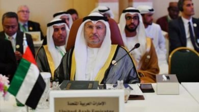 قرقاش: القوات التركية في قطر تزعزع استقرار المنطقة