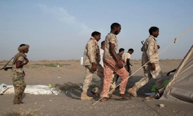 بلاك شيلد الإماراتية