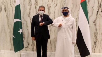 تطبيع باكستان