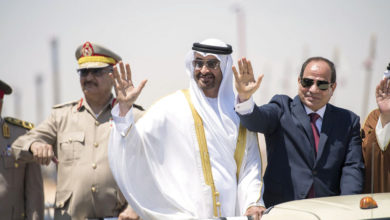 الدور التخريبي للإمارات