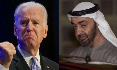 الأسلحة في الإمارات