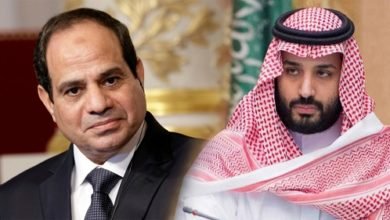 فودافون مصر