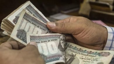 تعد من المصادر الرئيسية للعملة الصعبة لمصر.