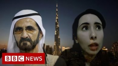 حملة إماراتية ضد BBC لكشفها معاناة الشيخة لطيفة المحتجزة منذ سنوات