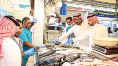 تعرف على الدولة الأولى عربيًا في مؤشر الأمن الغذائي