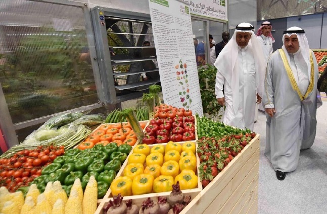 ترتيب الكويت خليجيًا على مؤشر الحرية الاقتصادية
