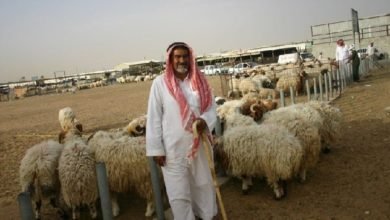 الخطط الاقتصادية التي يقودها بن سلمان تحمل خطورة عالية
