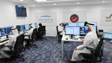 سوق الأمن السيبراني في الإمارات يشهد ازدهارًا