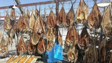 المسموطة العراقية