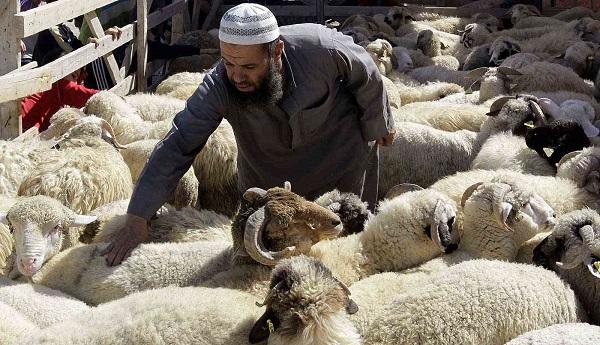 الأنعام