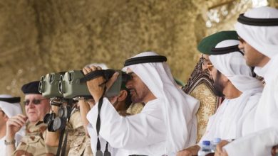 بين الجزائر والإمارات