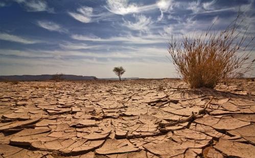 العلماء يحذرون من أن نقاط التغير المناخي أصبحت وشيكة