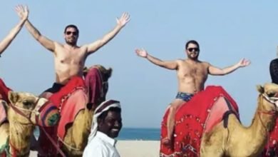 ركوب الجمال في قطر يثير جدلاً أميركياً حول نفقات أعضاء الكونجرس