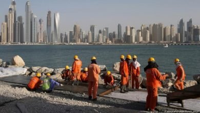 العمالة المهاجرة في الخليج بحاجة إلى الحماية الاجتماعية
