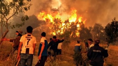 يوم حداد في الجزائر إثر مقتل العشرات في حرائق الغابات