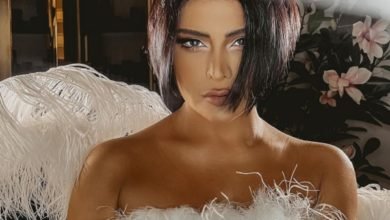 الفنانة لمياء طارق