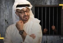 انتهاكات محمد بن زايد