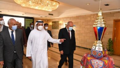 سفير الإمارات في مصر