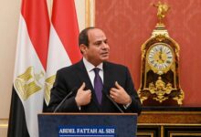 قصور السيسي