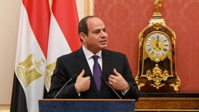 قصور السيسي