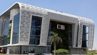 الاستثمار الإماراتي في مصر