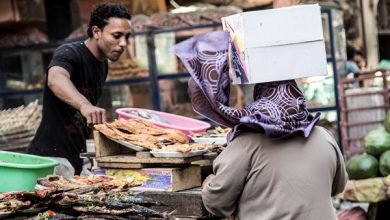 الأمن الغذائي في مصر