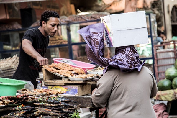 الأمن الغذائي في مصر