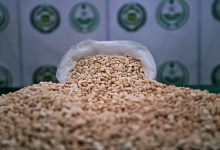 الكبتاغون في السعودية