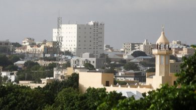 فندق فيلا روز