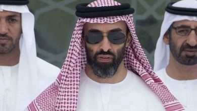 طحنون بن زايد