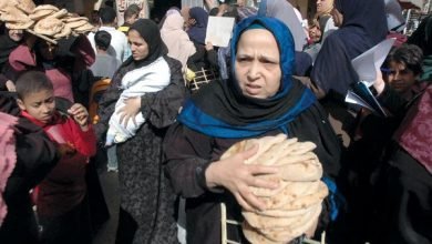 المواد الأساسية