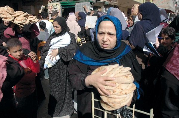 المواد الأساسية