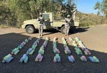 الحشيش السعودية
