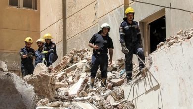 حدائق القبة