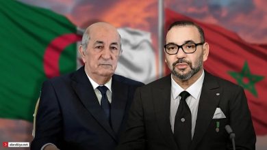علاقات الجزائر