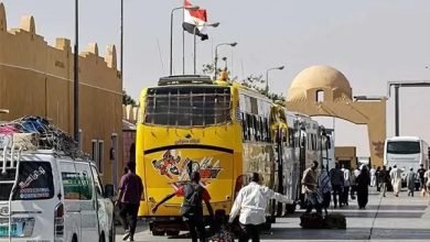 الكفيل المصري