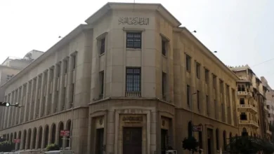 الإمارات لها نصيب الأسد: أموال ساخنة تتدفق على مصر