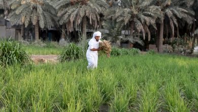 نقص الإمدادات